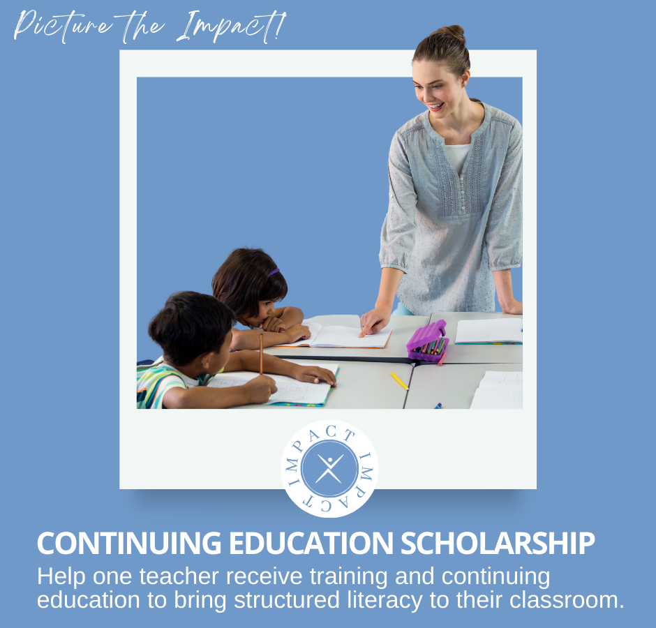 Make An Impact With IDA-Continuing Education Scholarship