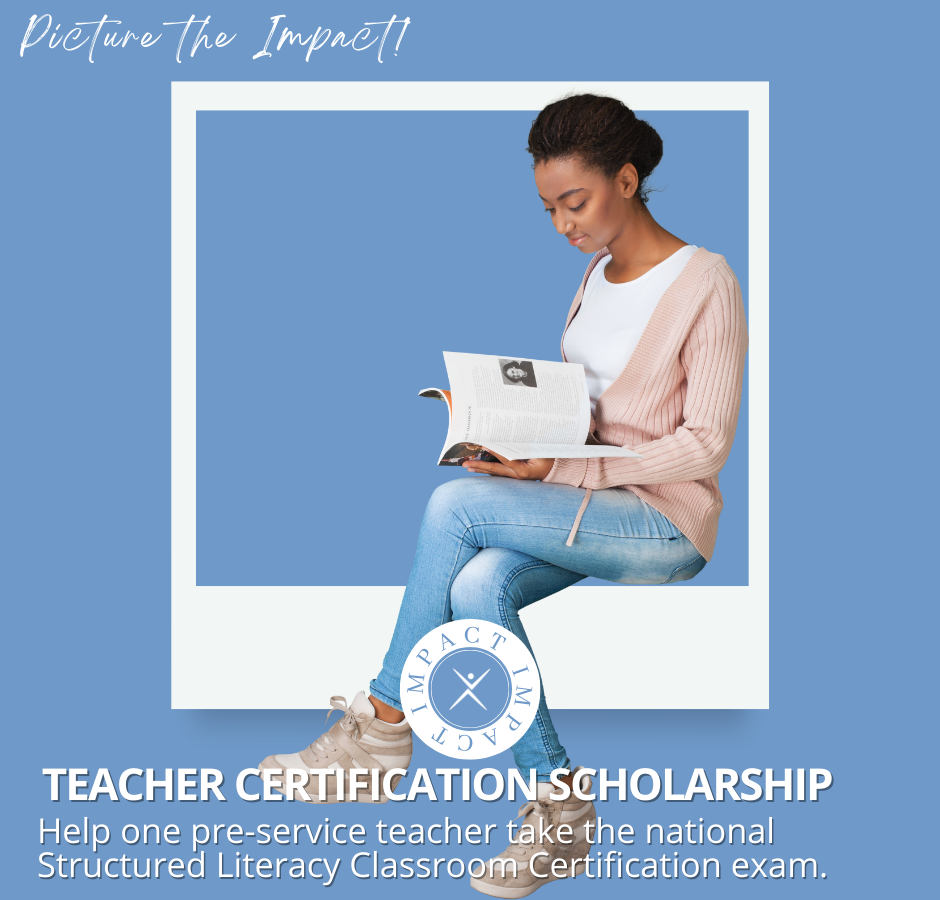 Make An Impact With IDA-Teacher Certification Scholarship